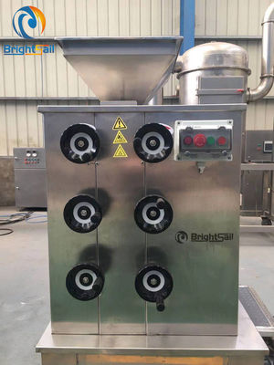 Mehrfunktionaler vollautomatischer Samen-Schleifer Machine 50 des indischen Sesams zu 500kg pro Stunde